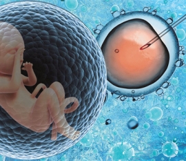 女性健康科普:子宫前位和后位的区别详解