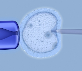 哪种深度水解奶粉口感好 选这些准没错